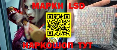 ешки Камышлов