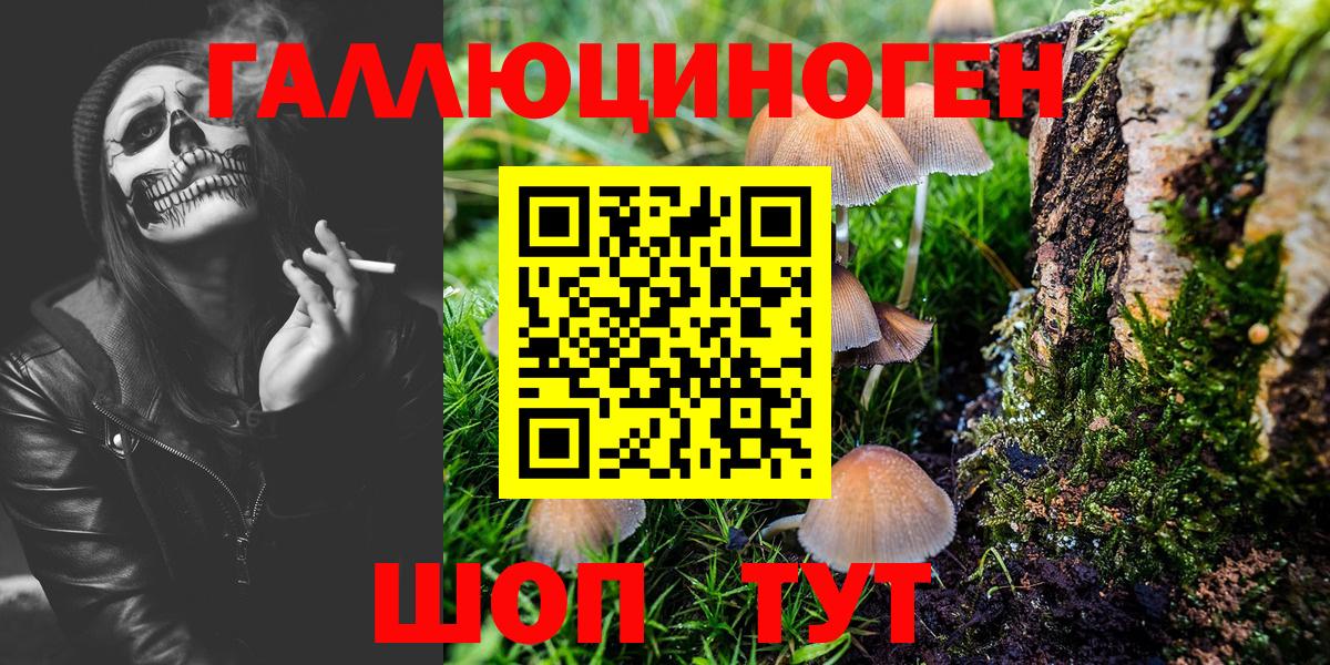 Псилоцибиновые грибы MAGIC MUSHROOMS  Вход с VPN  Лесной 